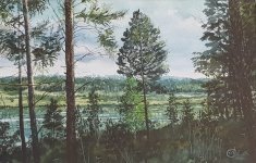 IMG-20181011-WA0003.jpg